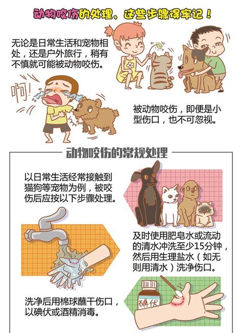 動物死了如何處理